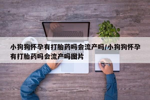 堕胎药联系方式小狗狗怀孕有打胎药吗会流产吗/小狗狗怀孕有打胎药吗会流产吗图片
