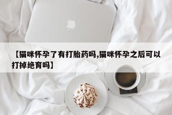 堕胎药联系方式【猫咪怀孕了有打胎药吗,猫咪怀孕之后可以打掉绝育吗】