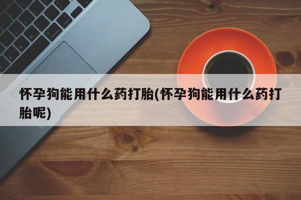 堕胎药联系方式怀孕狗能用什么药打胎(怀孕狗能用什么药打胎呢)